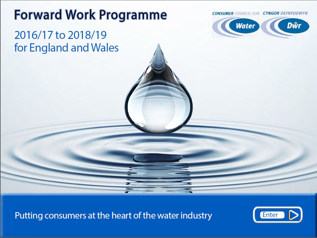Front cover of Forward Work Programme 2016