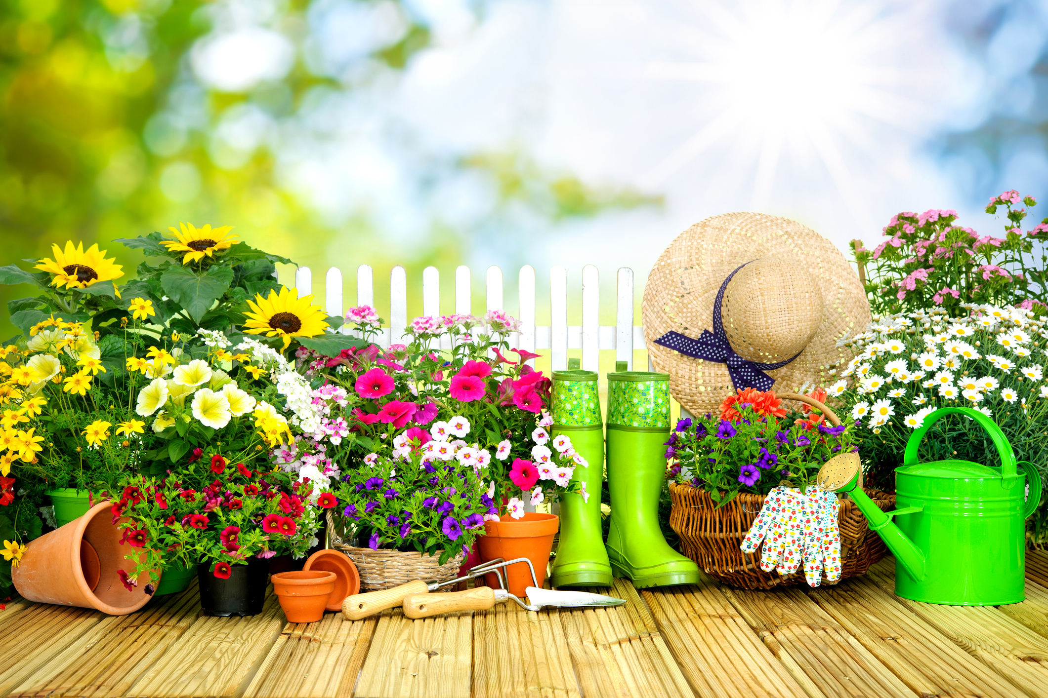 Gardening tools and flowers on the terrace in the garden