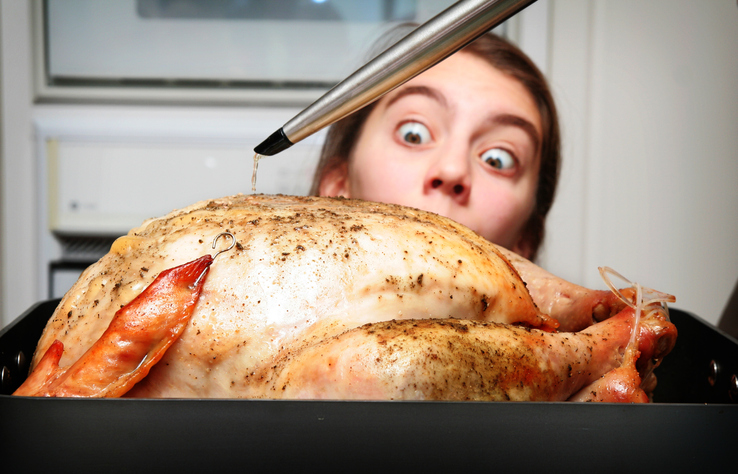 A turkey being basted during the cooking process. A young girl watches with hungry eyes.