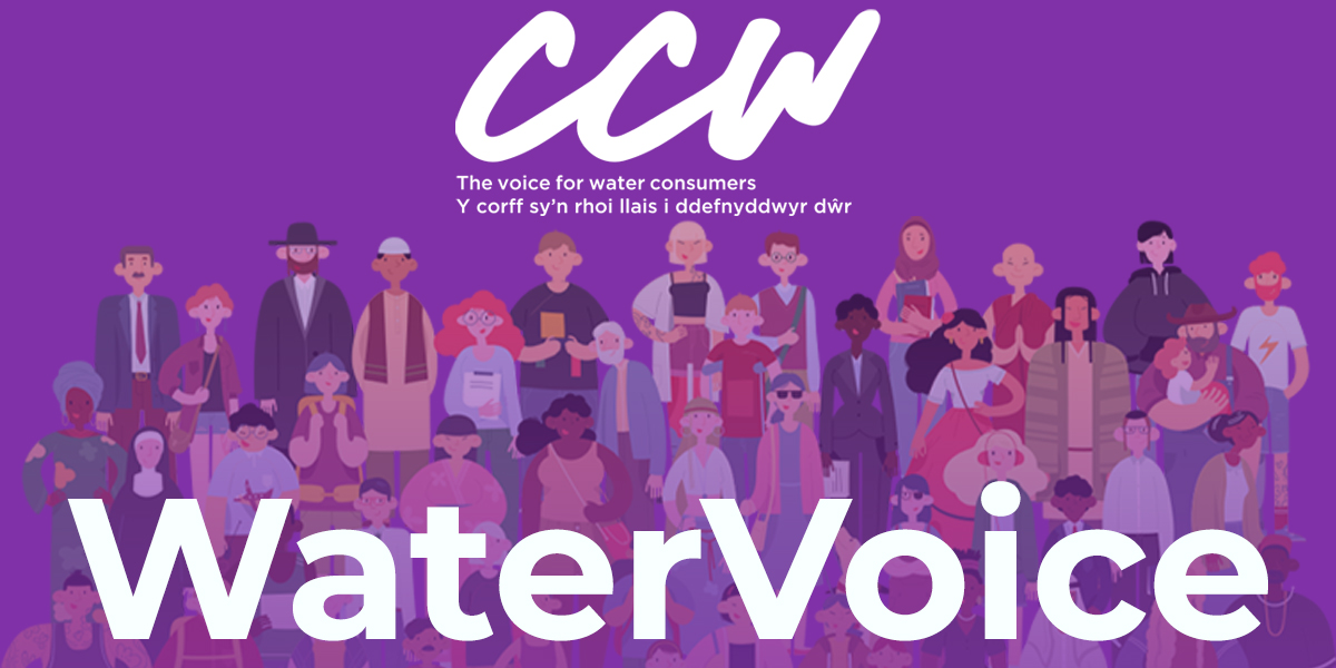 WaterVoice Community graphic. Illustration of a diverse people on a purple background.
