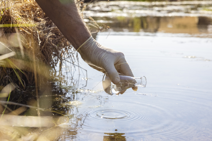 Someone checking river water quality