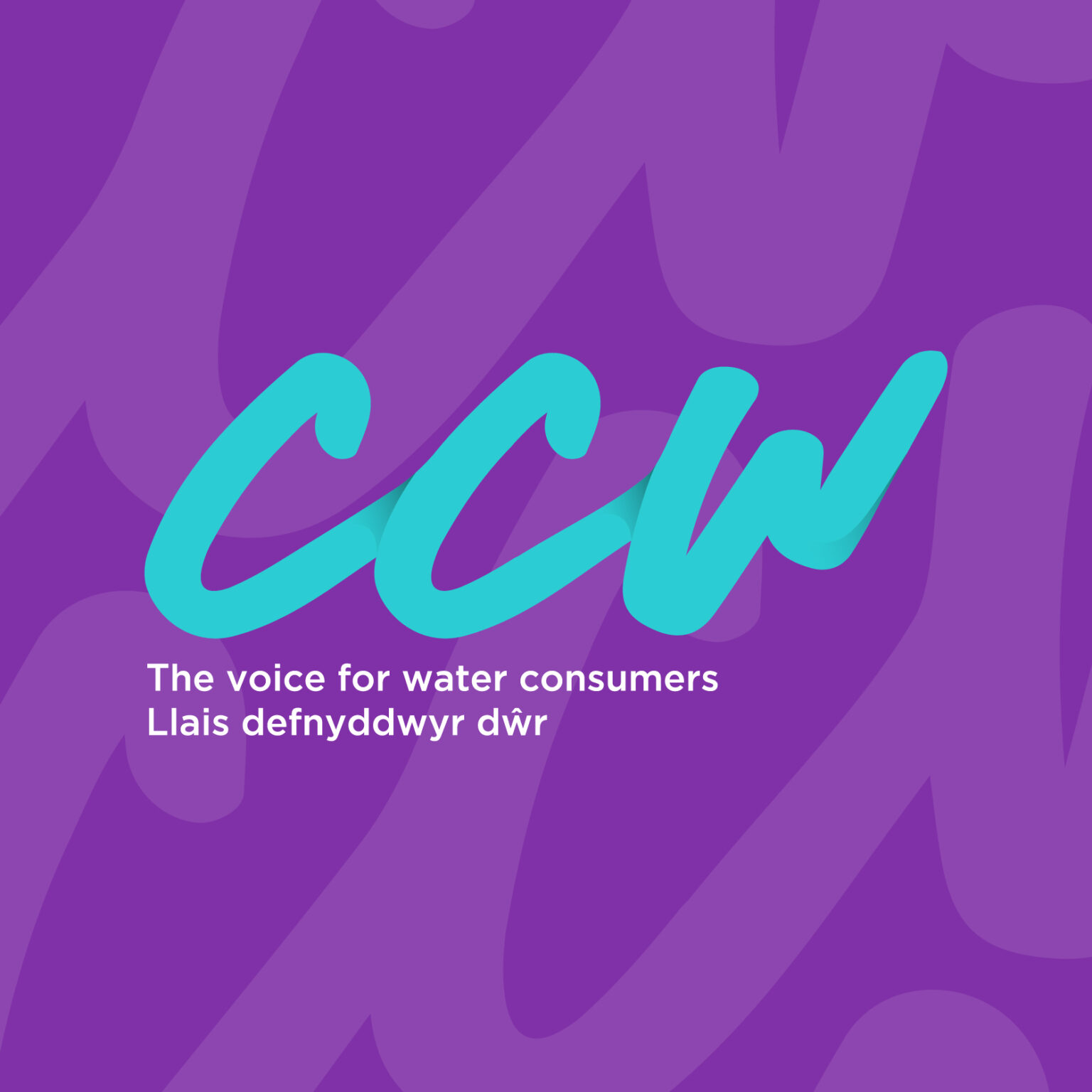 Our campaigns - CCW
