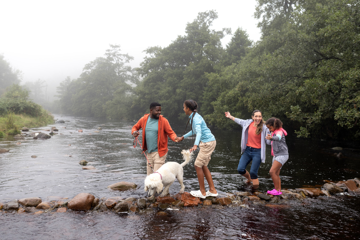 family walking in a river in Northumberland, North East of England.