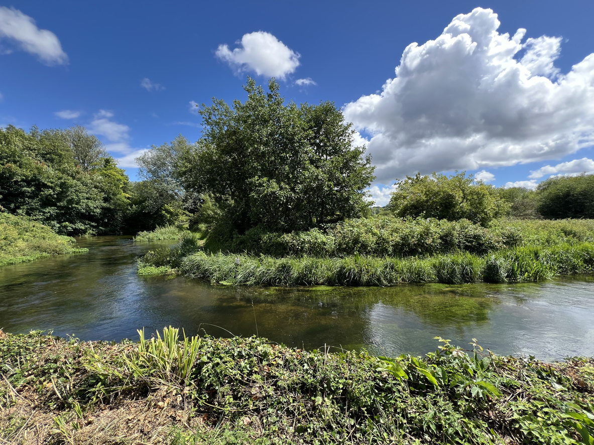The River Itchen flowing through Hampshire under blue skies.