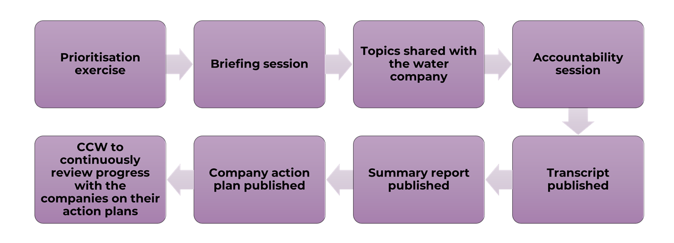 Flowchart showing the accountability session process for consumer panels, including steps like prioritisation exercise, briefing session, topics shared with the water company, accountability session, transcript published, summary report published, company action plan published, and ongoing review by CCW.