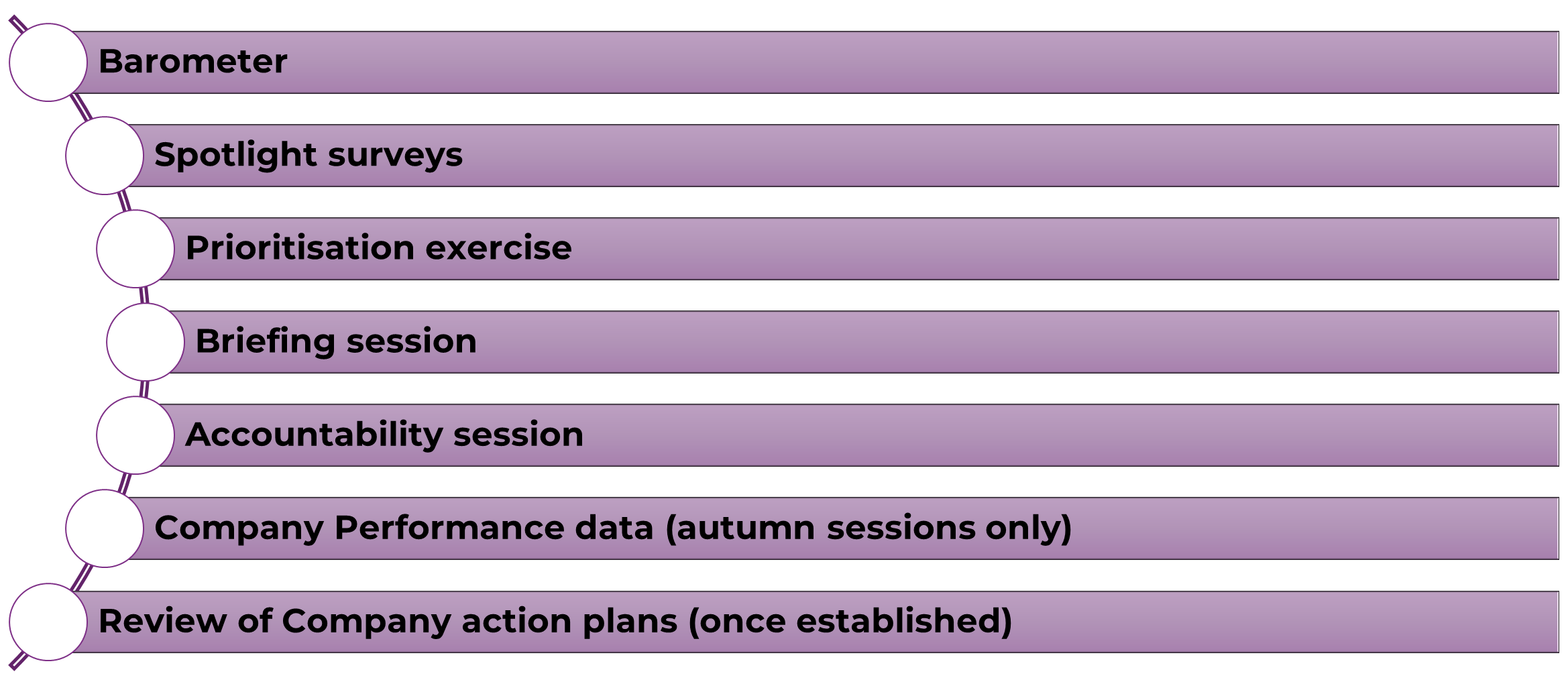 Vertical flow diagram showing seven steps for consumer panellists: Barometer, Spotlight surveys, Prioritisation exercise, Briefing session, Accountability session, Company Performance data (autumn sessions only), and Review of Company action plans (once established).