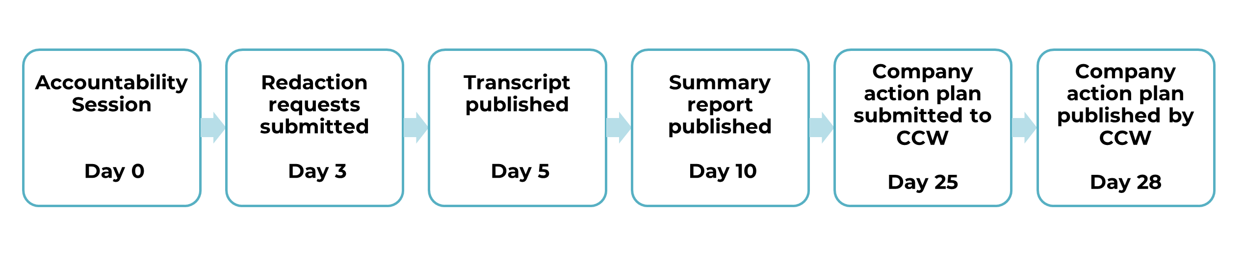 Timeline diagram showing the reporting process for accountability sessions, with key milestones from Day 0 to Day 28.
