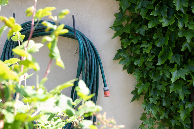 A hosepipe hangs on the wall of a property in a beautiful garden.