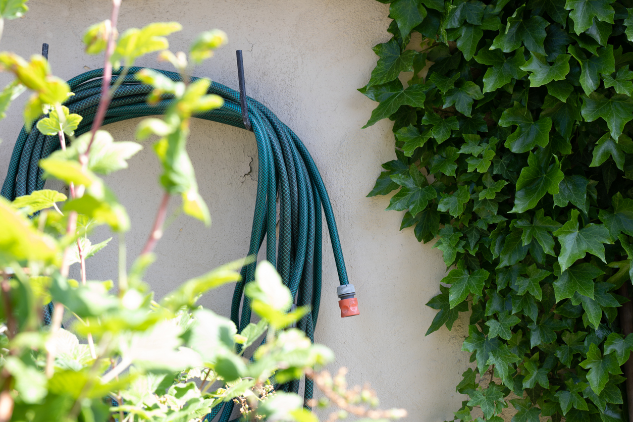 A hosepipe hangs on the wall of a property in a beautiful garden.
