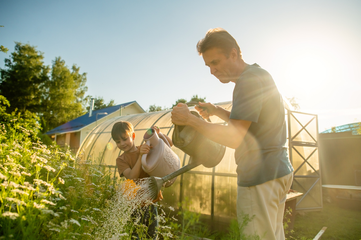 A young boy waters the garden with his grandfather under blue skies and sunshine.